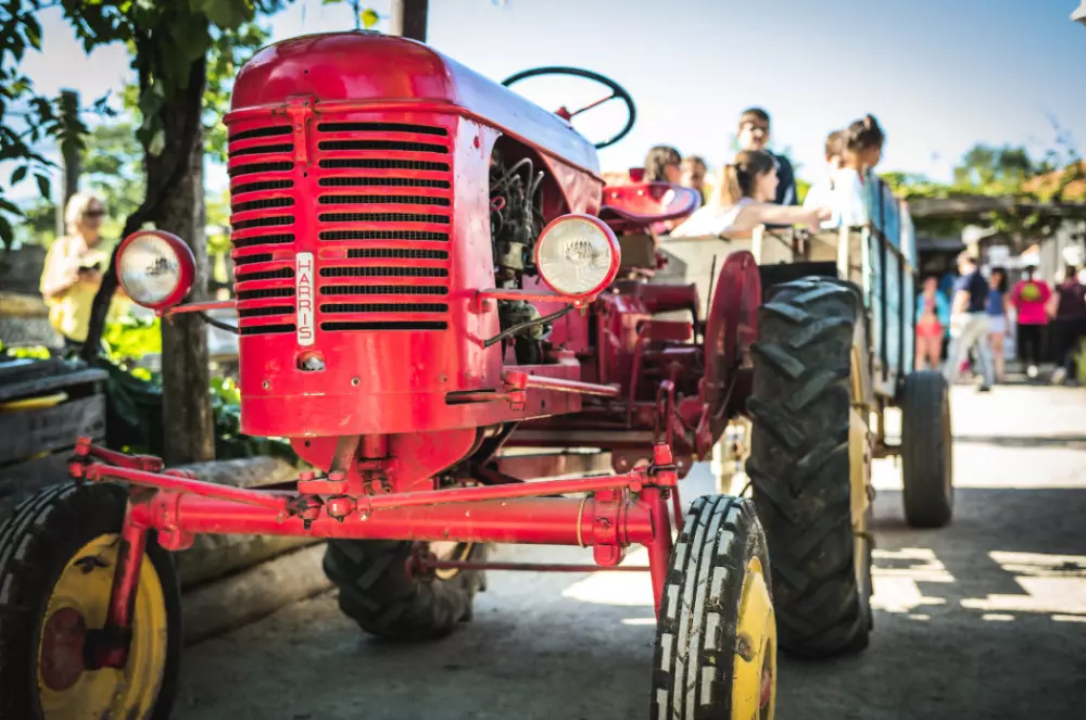 Camping Paradis la Grand'Métairie 4 Stars★★★★