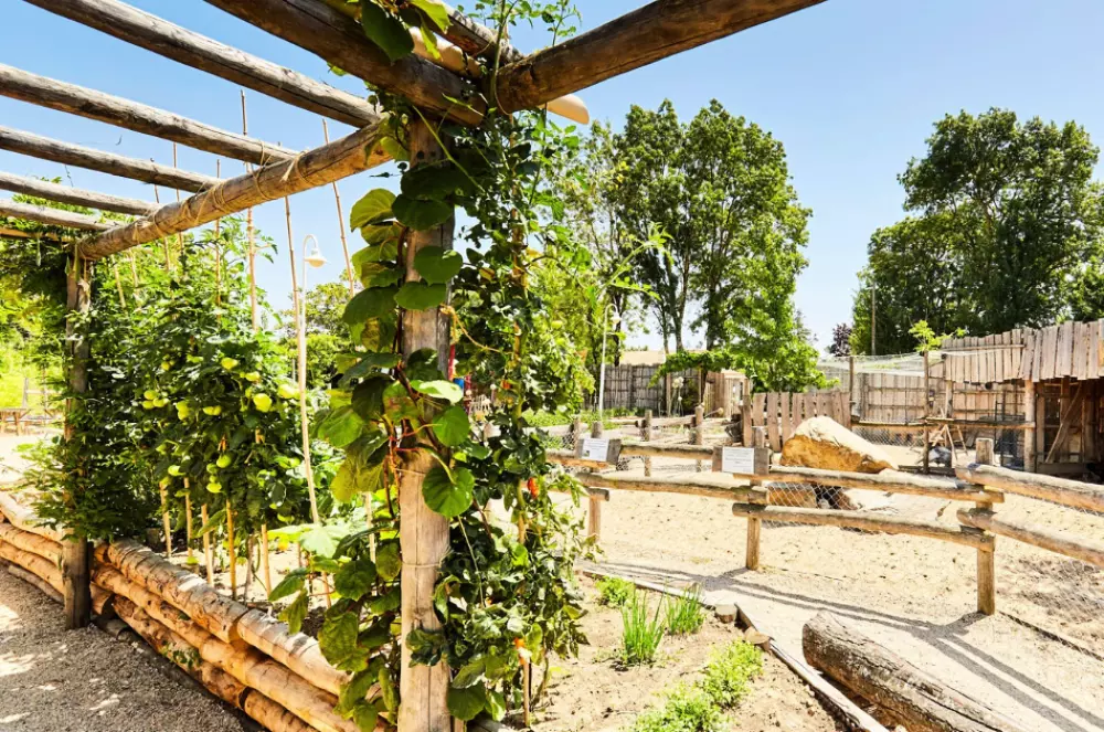 Camping Paradis la Grand'Métairie 4 Stars★★★★