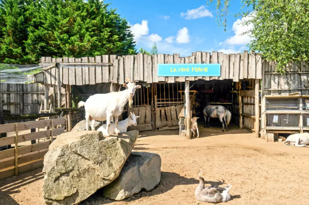 Camping Paradis la Grand'Métairie 4 Stars★★★★