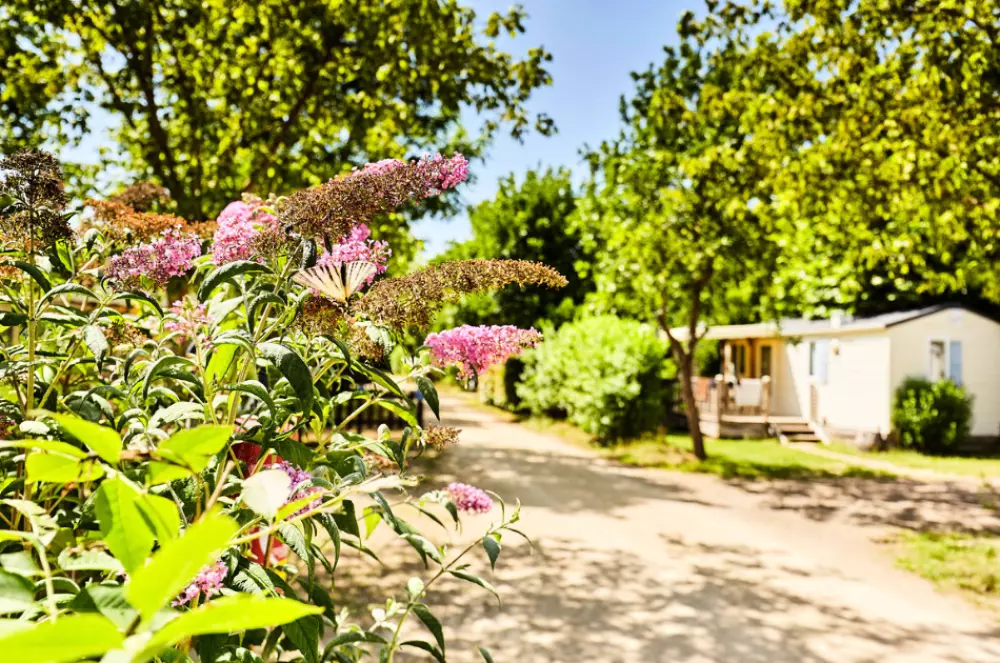 Camping Paradis la Grand'Métairie 4 Stars★★★★