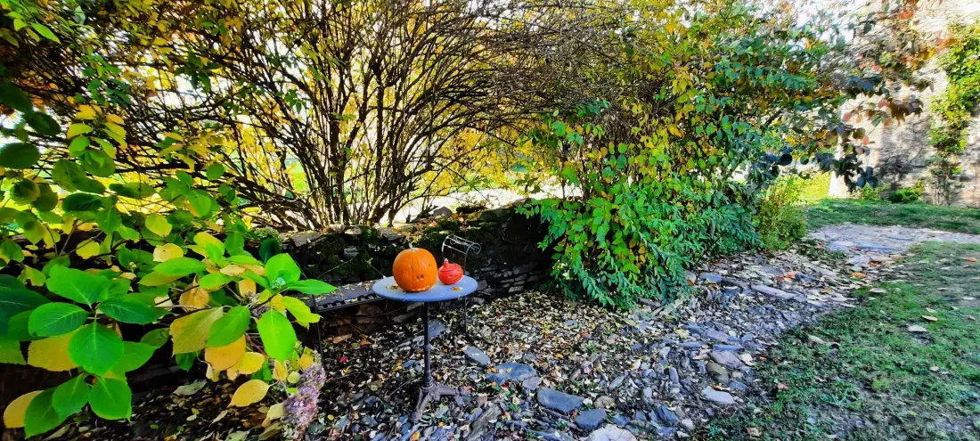 Gîte de France Gîte des papous 4 oren