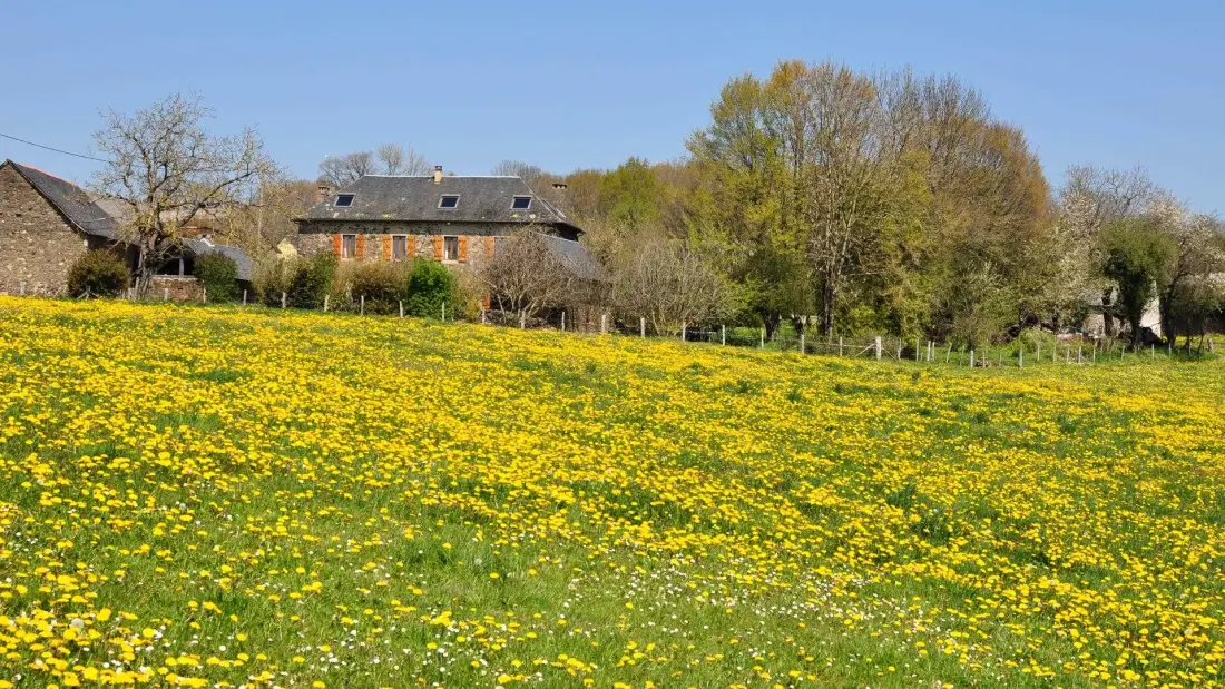 Gîte de France Gîte des papous 4 oren