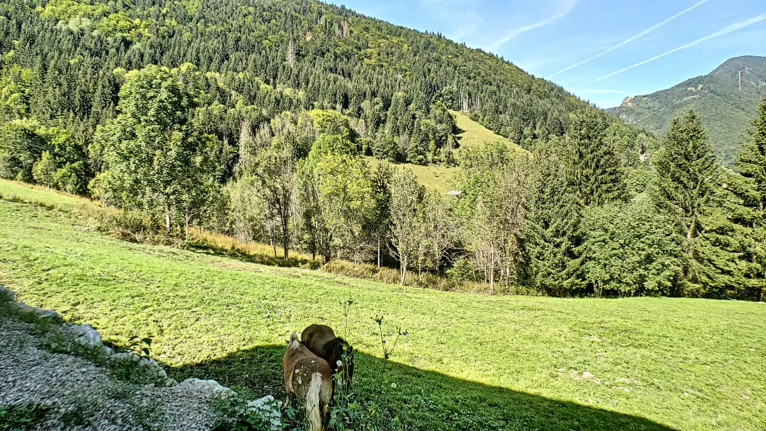 Apartmanok Saint Jean d'Aulps