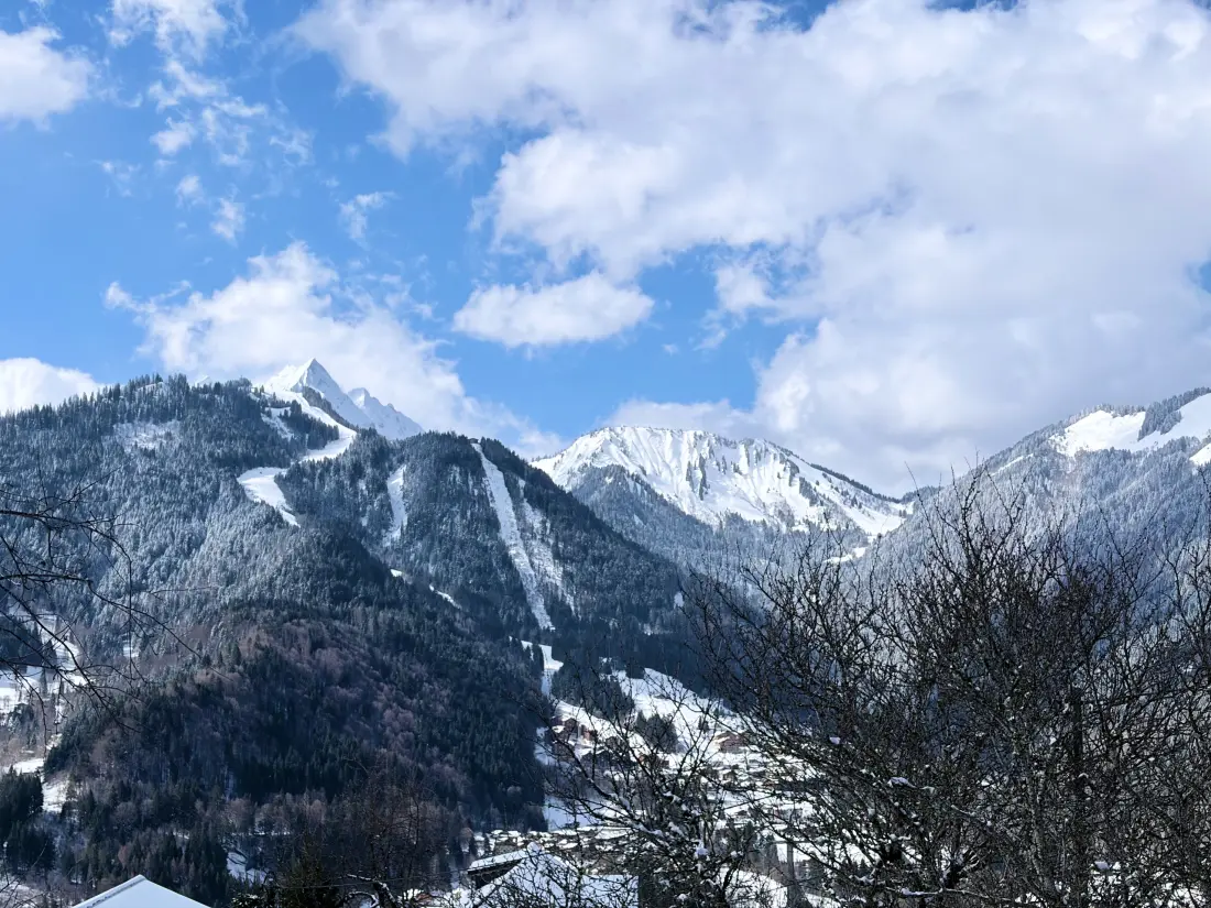 Chalets in Saint Jean d'Aulps