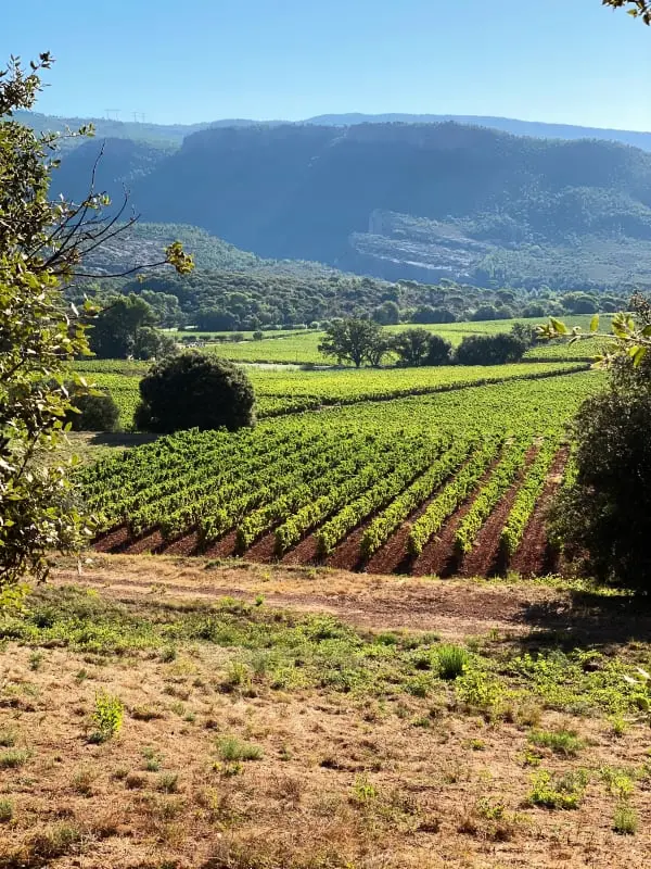 Villa La Bonne Etoile: A tökéletes családi oázis