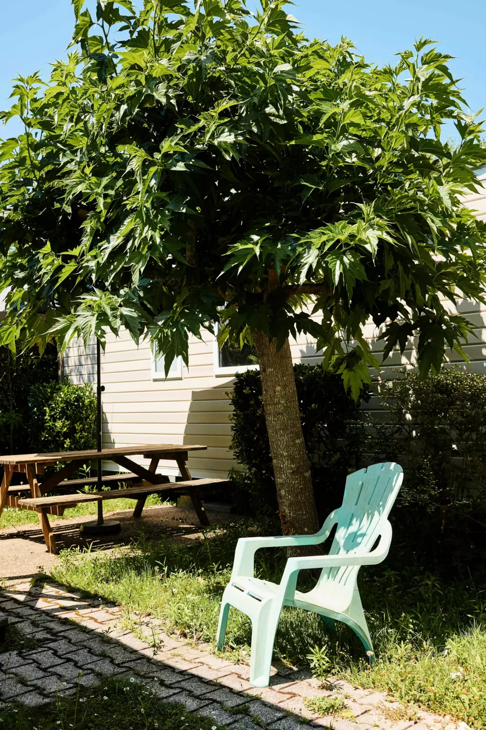 Camping Duna Munguy3 Estrellas★★★