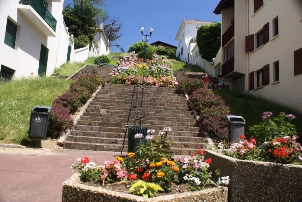 Camping Duna Munguy3 Estrellas★★★