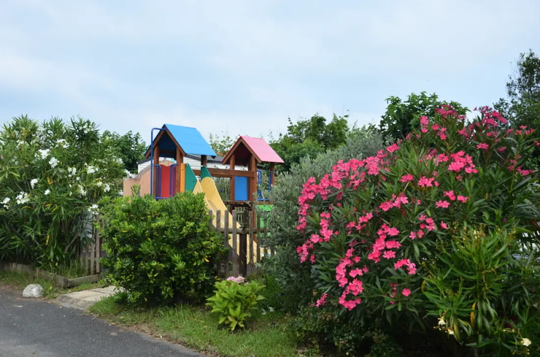 Campsite Duna Munguy3 Stars★★★