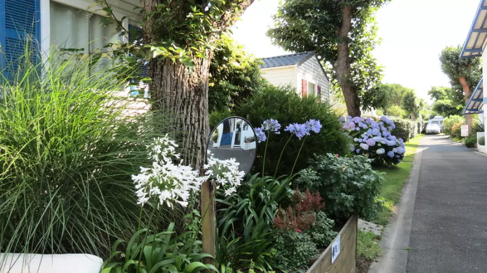 Camping Duna Munguy3 Estrellas★★★