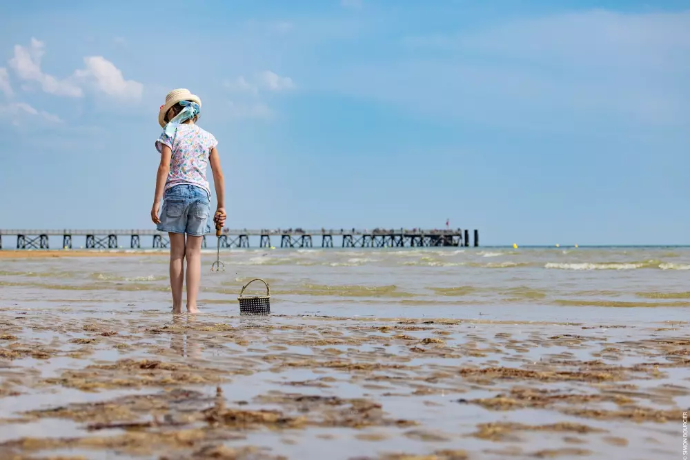 Camping Aux Coeurs Vendéens Útvonalterv
