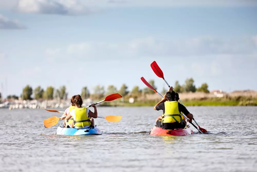 Campsite L'Abri des Pins 4 Stars★★★★