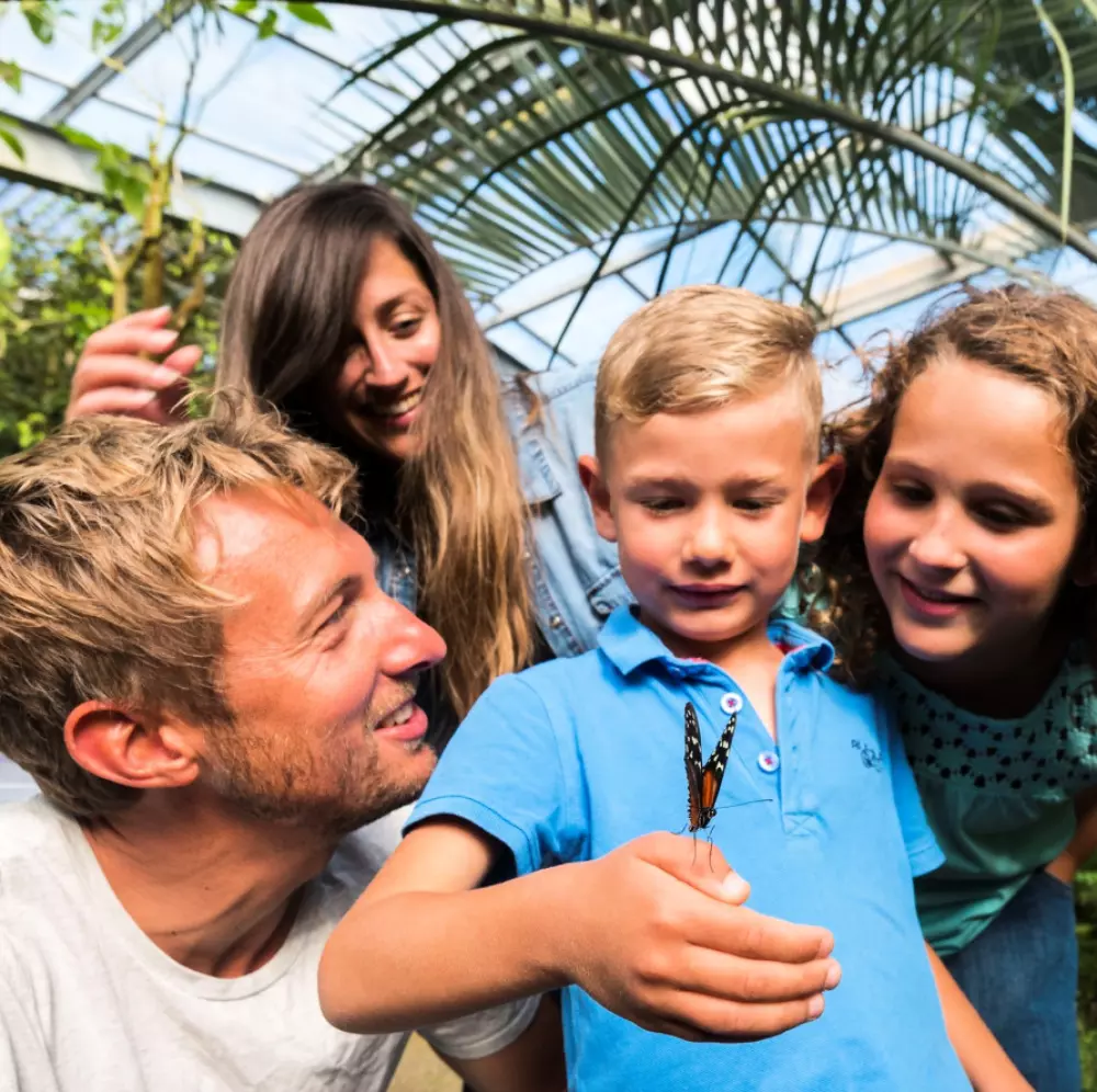 Campsite L'Abri des Pins 4 Stars★★★★