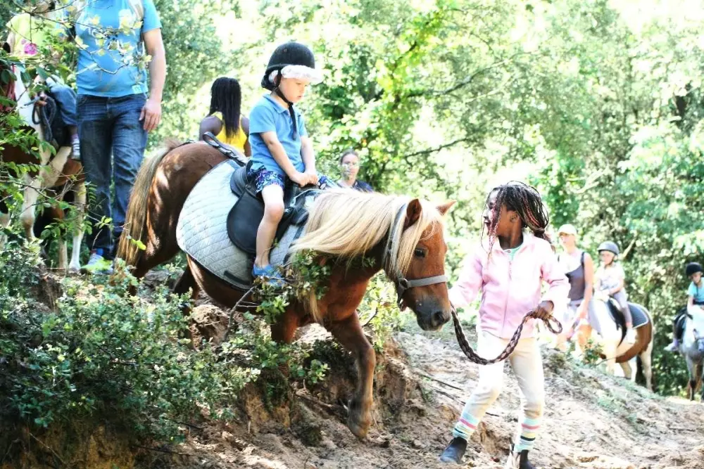 Campsite L'Abri des Pins 4 Stars★★★★