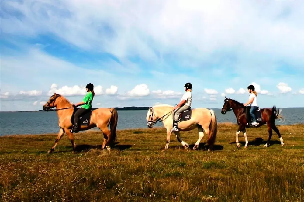 Campsite L'Abri des Pins 4 Stars★★★★