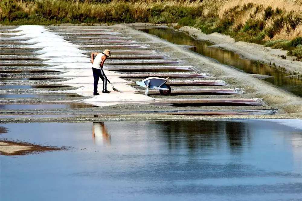Campsite L'Abri des Pins 4 Stars★★★★