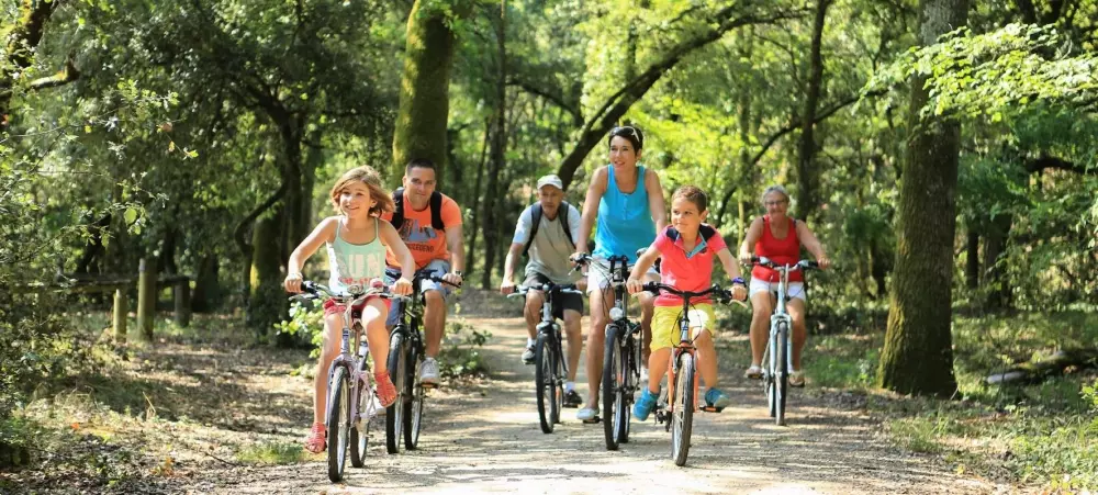 Campsite L'Abri des Pins 4 Stars★★★★