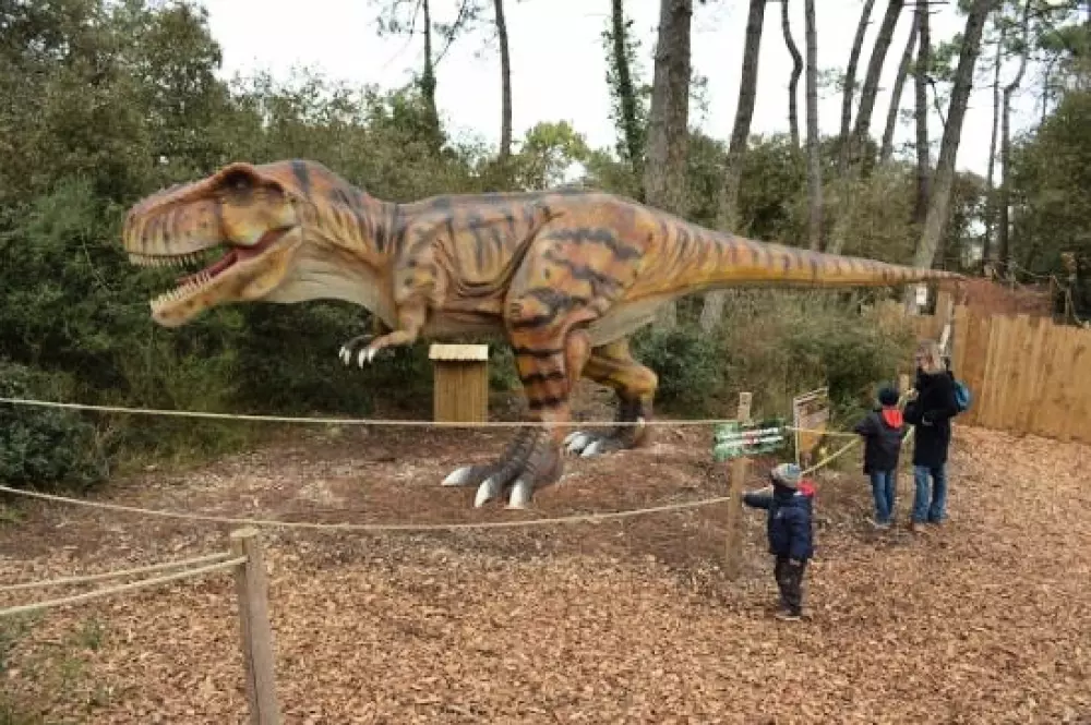 Campsite L'Abri des Pins 4 Stars★★★★