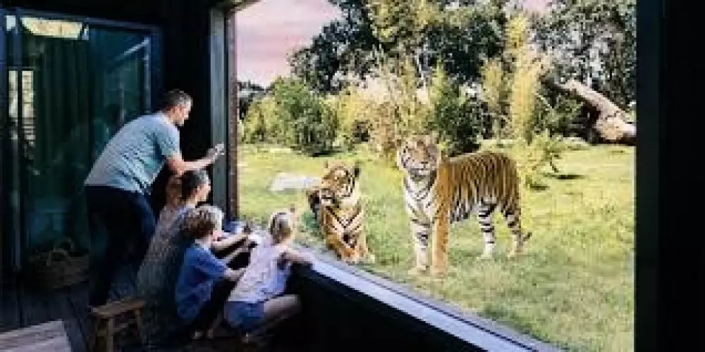 Campsite L'Abri des Pins 4 Stars★★★★