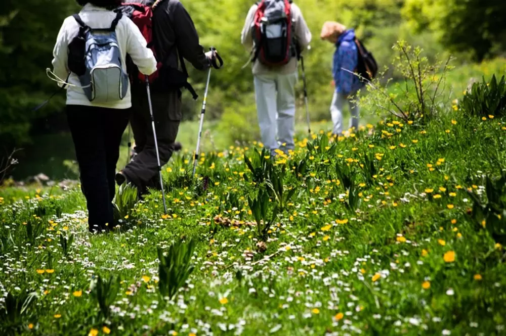 Campsite L'Abri des Pins 4 Stars★★★★