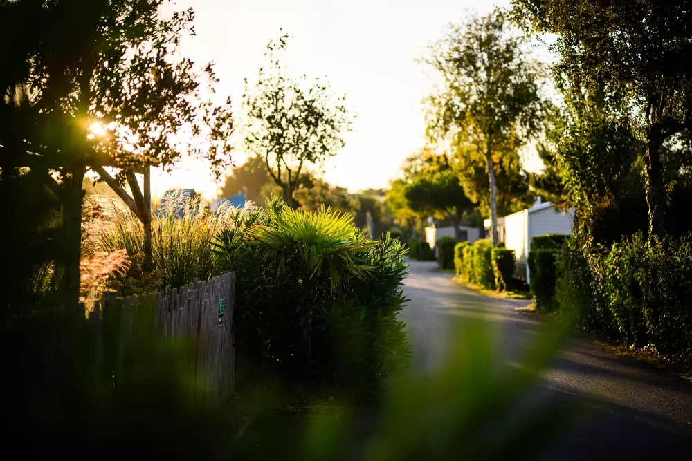 Campsite L'Abri des Pins 4 Stars★★★★