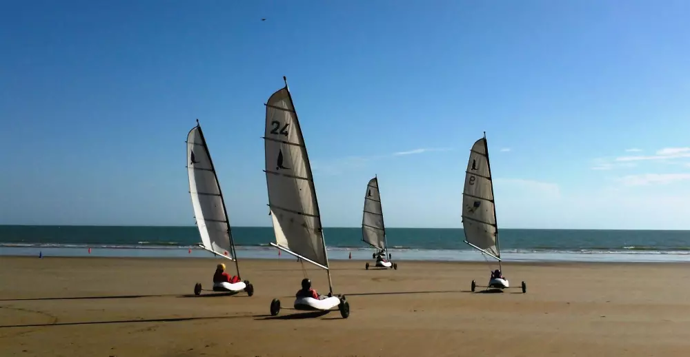 Campsite L'Abri des Pins 4 Stars★★★★