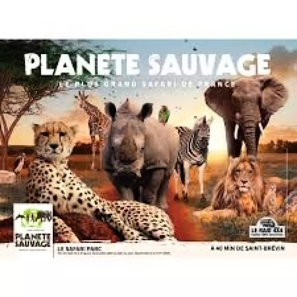 Campsite L'Abri des Pins 4 Stars★★★★