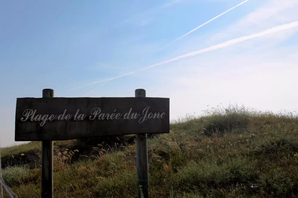 Campsite L'Abri des Pins 4 Stars★★★★