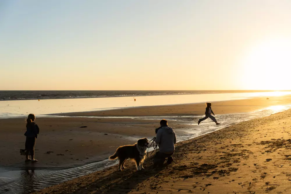 Campsite L'Abri des Pins 4 Stars★★★★