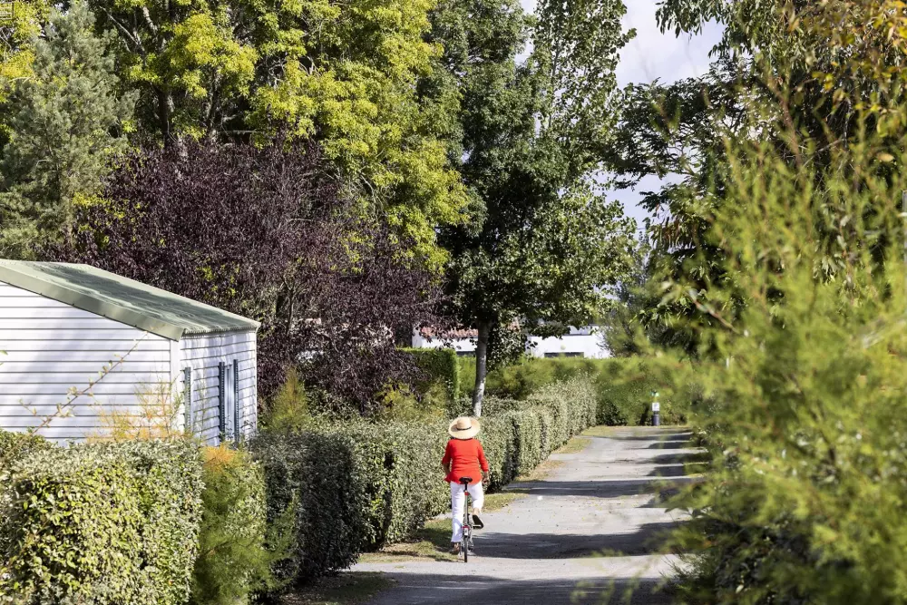 Campingpladser La Davière Plage 4 Stjerner★★★★