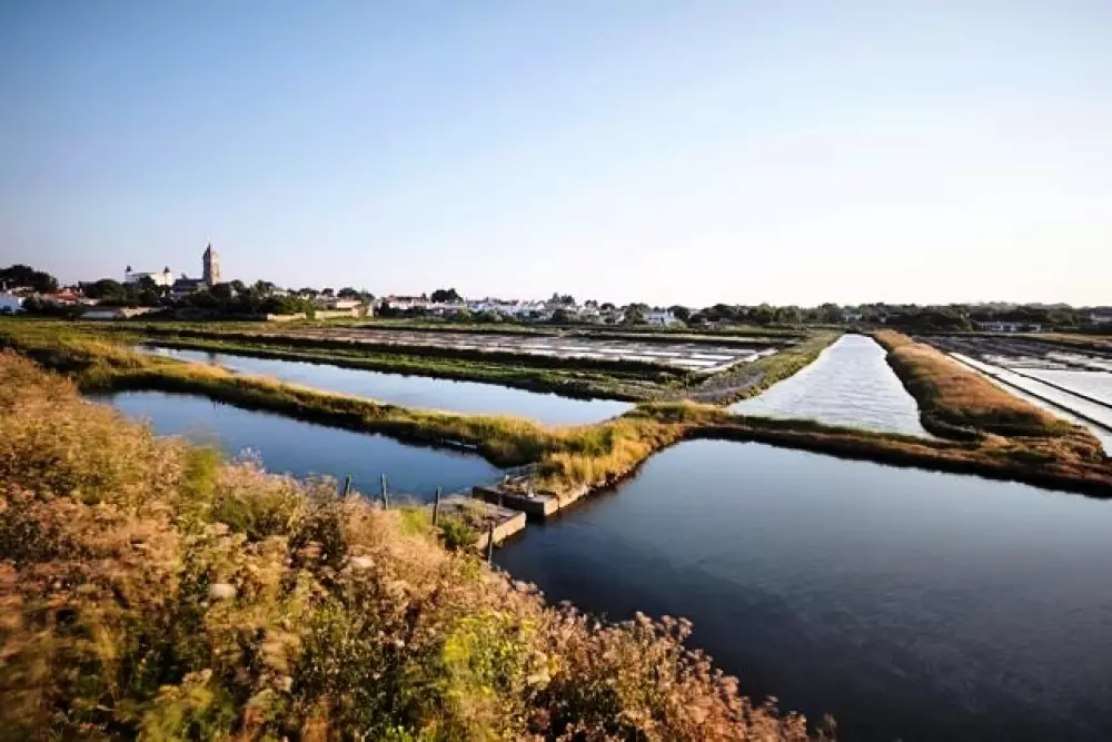 Campsite La Prairie 4 Stars★★★★