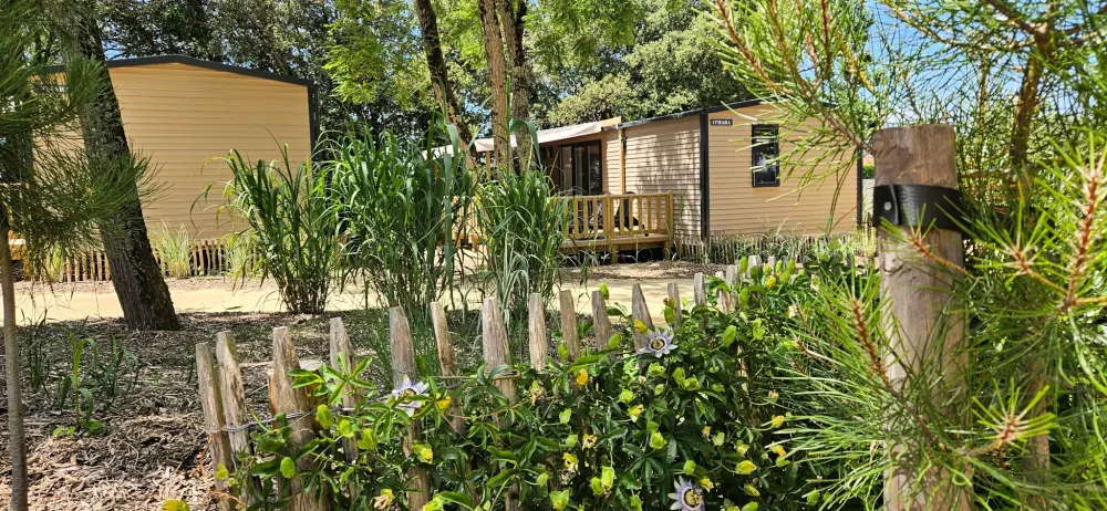 Campingplatz Le Bois Verdon 4 Sterne★★★★