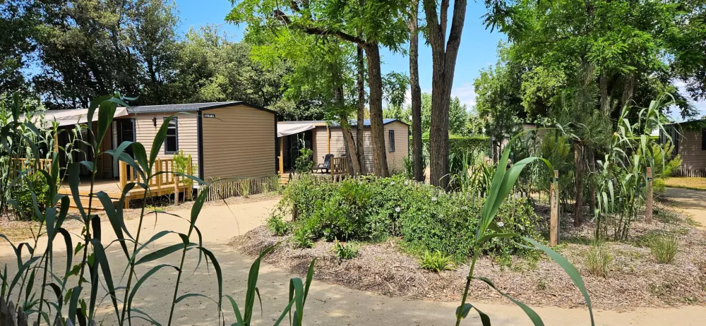 Campingplatz Le Bois Verdon 4 Sterne★★★★