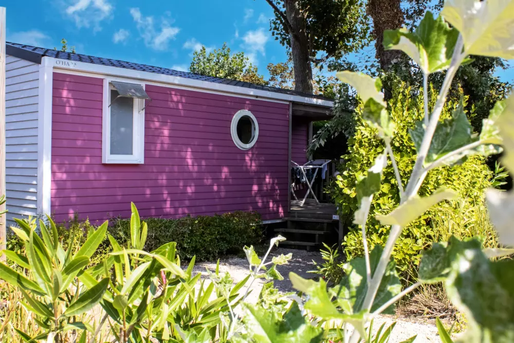 Campingplatz Le Bois Verdon 4 Sterne★★★★