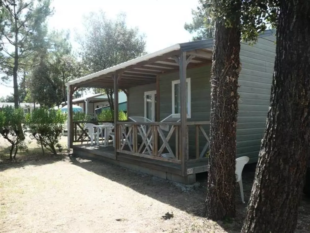 Campingplatz Le California 4 Sterne★★★★