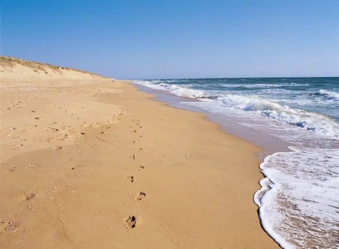Camping Le California 4 Csillagok★★★★