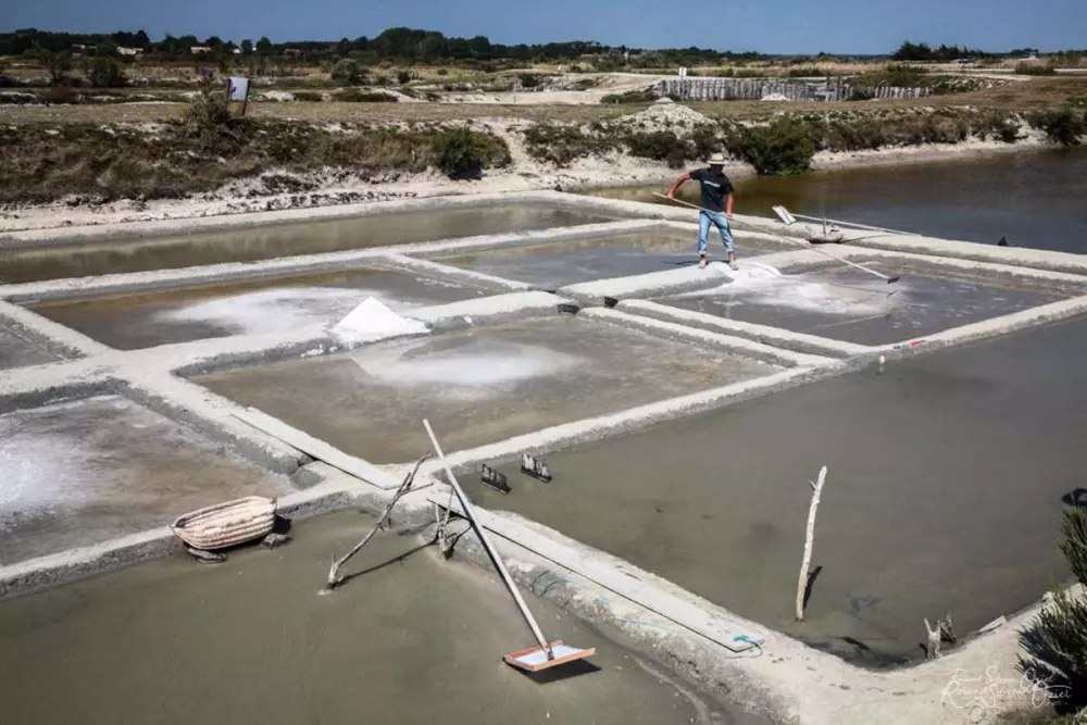 Campsite Sunêlia Le Tropicana 5 Stars★★★★★