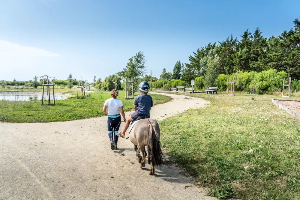 Camping Plein Sud 4 étoiles★★★★
