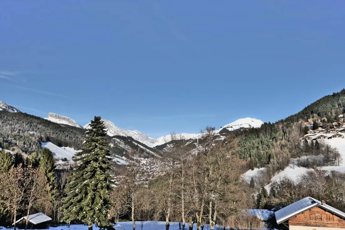 Residence Les Grillons