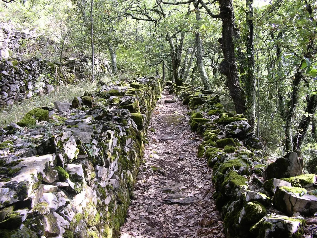 Camping L'Orée des Cévennes 2 Sterne★★
