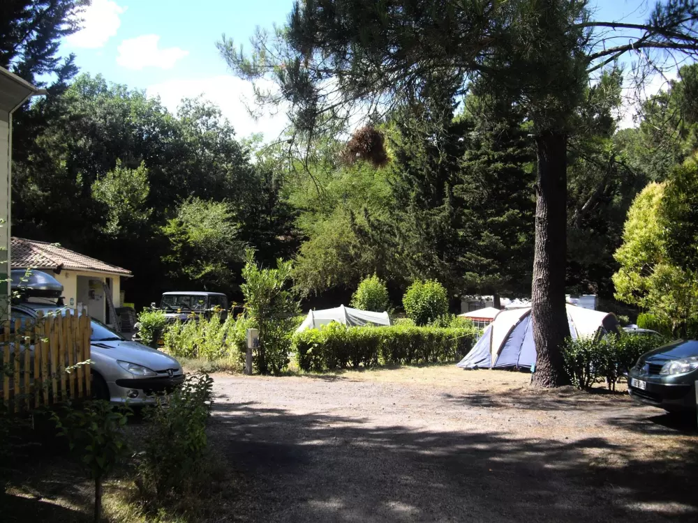 Camping L'Orée des Cévennes 2 Sterne★★