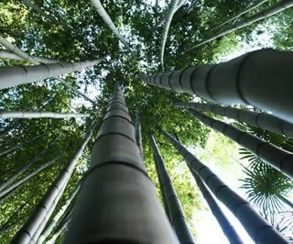 Camping des Sources3 Sterne★★★