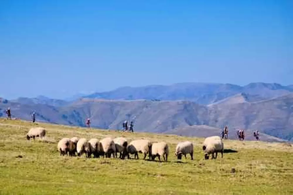 VVF Saint-Jean-Pied-de-Port