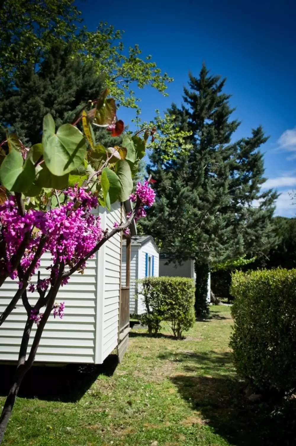 Camping les Casteillets3 Sterren★★★