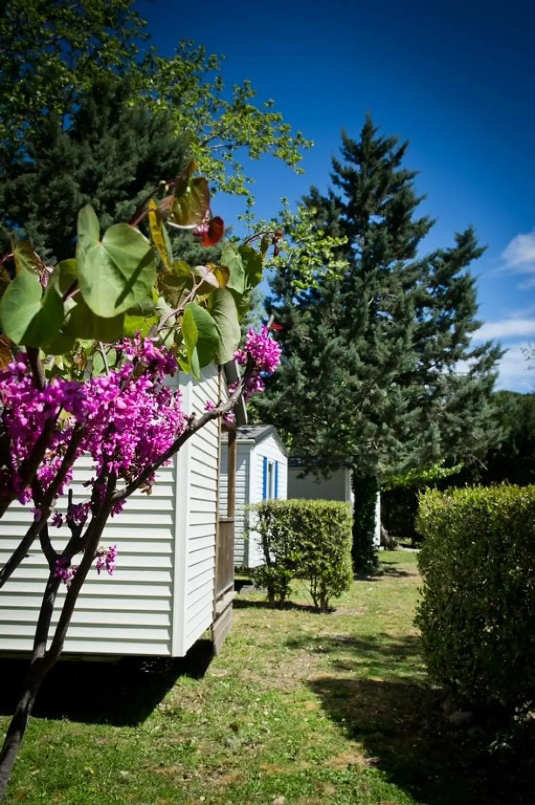 Campsite Les Casteillets 3 Stars★★★