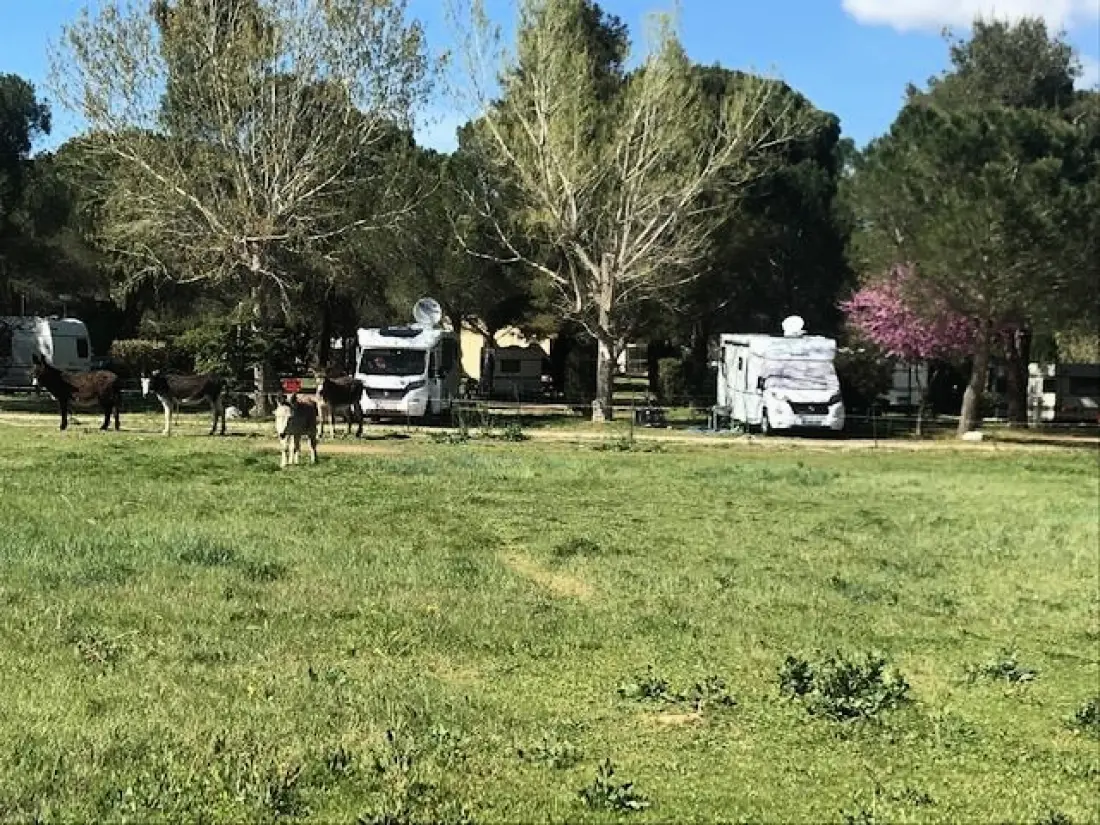 Campsite Les Casteillets 3 Stars★★★