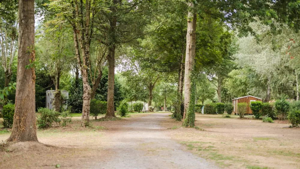 Camping Seasonova du Chêne