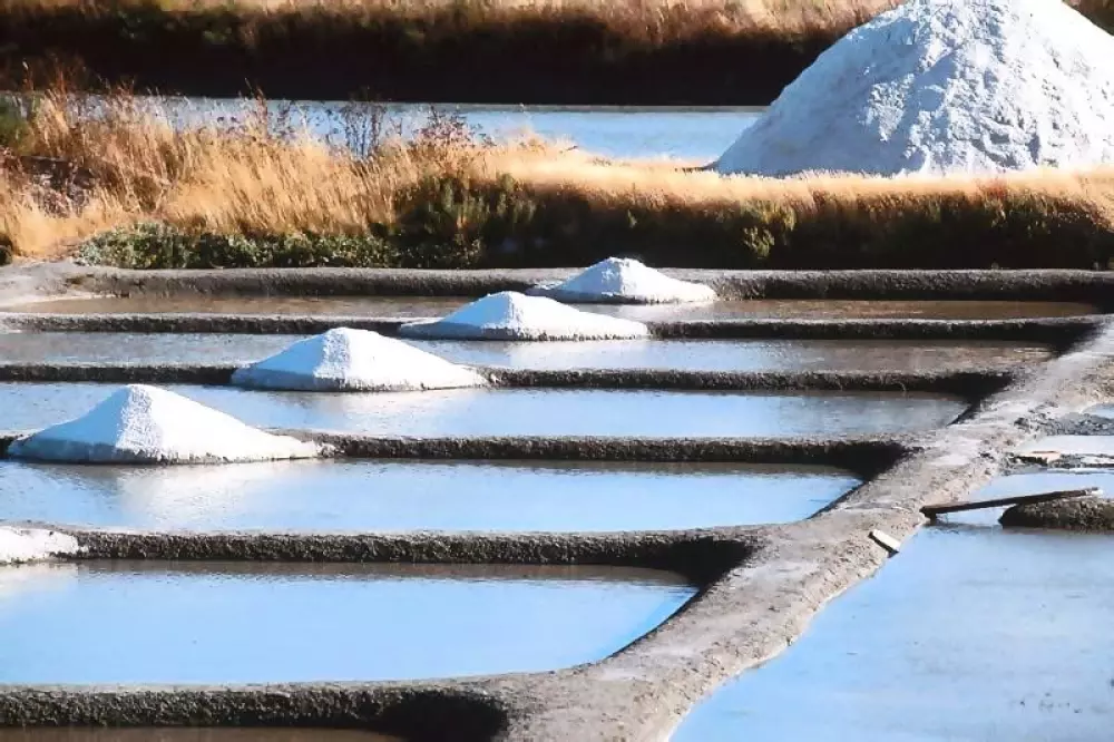 Camping Seasonova du Chêne