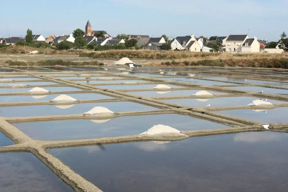 Camping Seasonova du Chêne