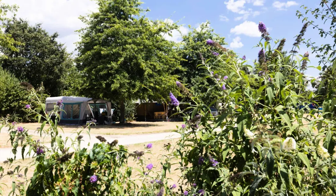 Camping Paradis La Bretonnière4 Sterren★★★★
