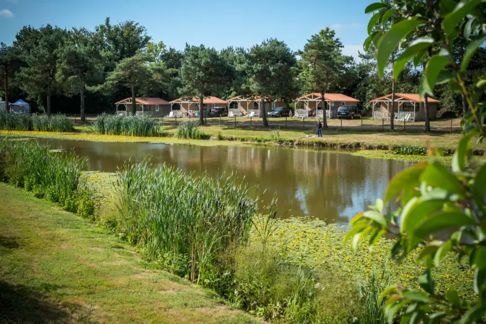 Camping Paradis La Bretonnière4 Estrellas★★★★